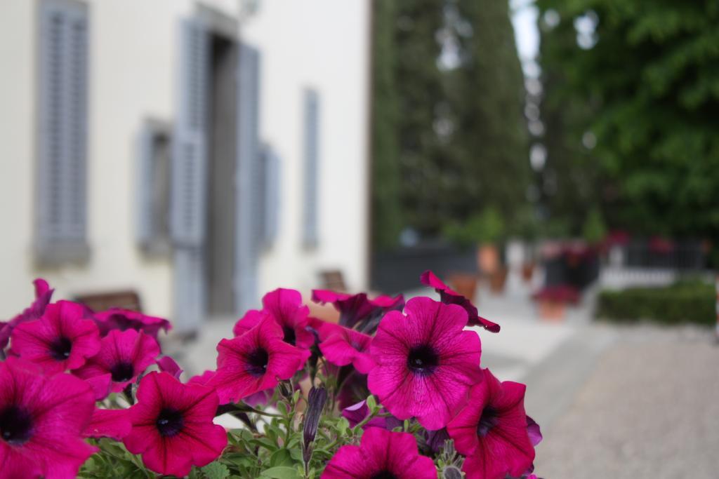 Villa Montarioso Siena Eksteriør billede